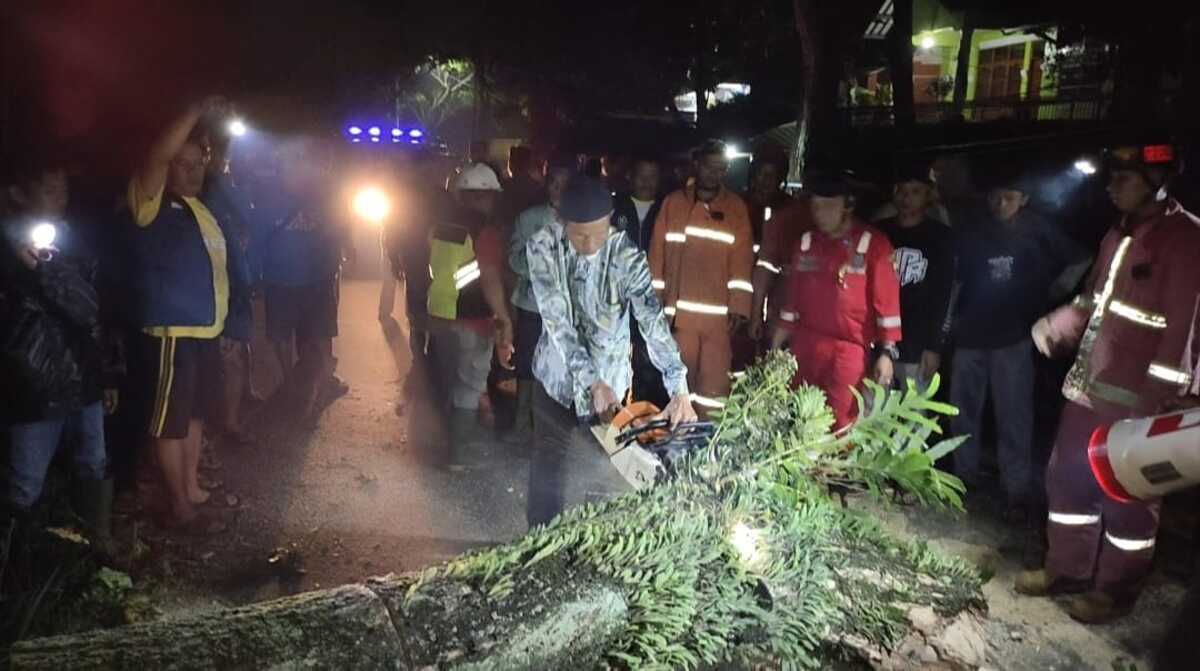 Pohon Tumbang Di Cianjur Membuat Pemotor Kritis