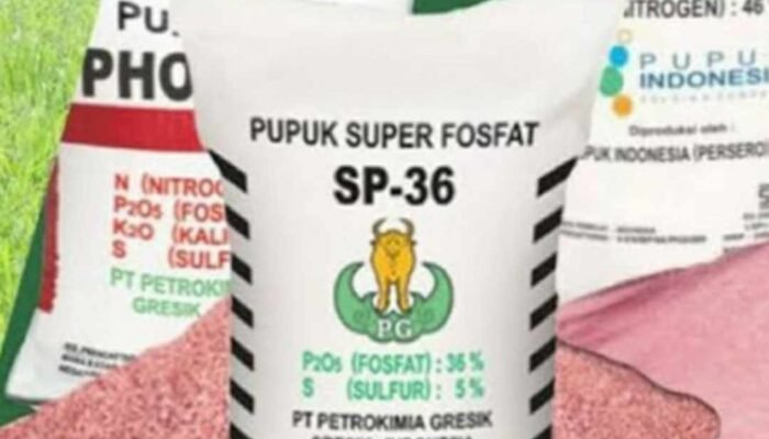 Pemerintah Harus Menjamin Pasokan Pupuk Subsidi