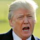 Donald Trump Reuters
