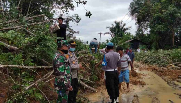 Puluhan Personil Evakuasi Longsor Tapanuli Tengah