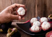 Setelah Bijinya Enak, Ada Manfaat di Balik Kulitnya