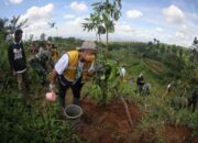 Hari Sejuta Pohon, Pemkot Bandung Tanam 2.018 Bibit Pohon