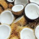 sulut ekspor tepung kelapa ke eropa 150519080849 808