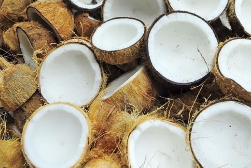 sulut ekspor tepung kelapa ke eropa 150519080849 808