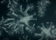 Virus COVID-19 Babak II Disebut Lebih Cepat menular