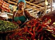 Cabai dan Daging Sapi di Ibu Kota Diprediksi Bakal Meroket