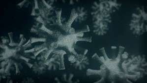 images 4