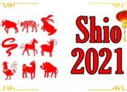 Ungkap Shio Kamu di Tahun 2021 9 ramalan shio tahun 2021