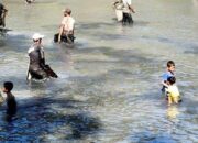 Warga Manfaatkan Tradisi untuk Mengambil Ikan, Ambil Sabanyak-banyaknya ya!