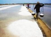 Wacana Impor Garam Bikin Resah Petani Garam