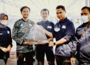 Budidaya Lele Rekomended, Permintaan Membludak