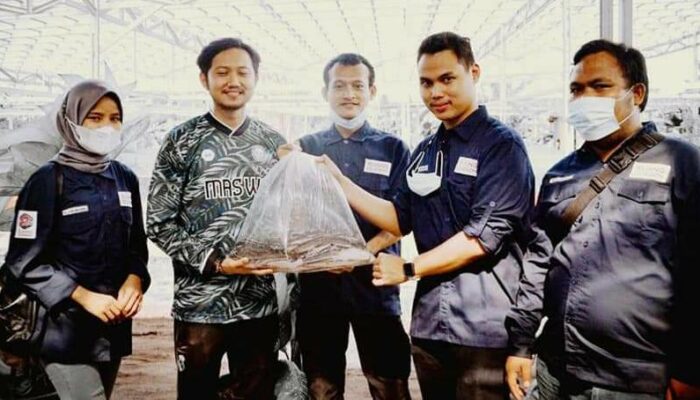 Budidaya Lele Rekomended, Permintaan Membludak
