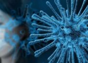 Virus Baru dari Inggris B117 Muncul di Karawang Jawa Barat