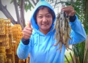 Urus Ikan dan Udang Kini Bisa Pake Internet,  Penasaran?