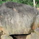 batu dolmen di bondowoso 1 43