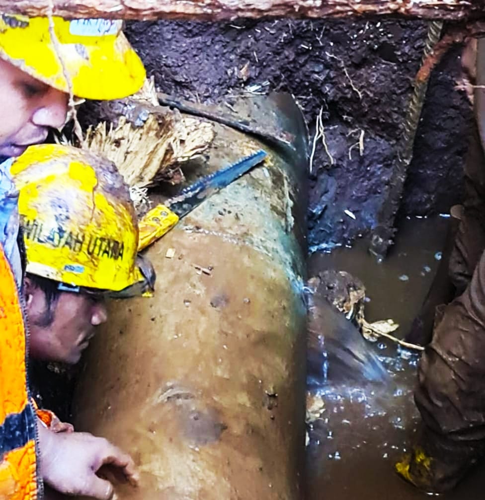 22234b56 1ea8 42f0 9906 10f88d02f8ed