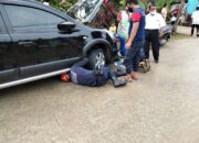 Petugas Berjibaku Selamatkan Kucing di Kolong Mobil