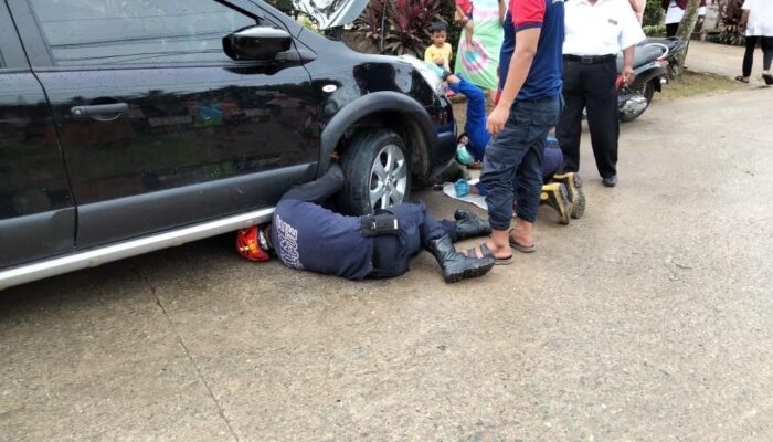Petugas Berjibaku Selamatkan Kucing di Kolong Mobil
