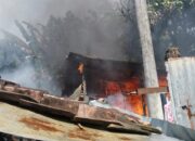 Rumah Janda Terbakar, Sejumlah Unggas Hangus