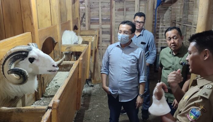BUMDES Bina Laksana Miliki Potensi Luar Biasa