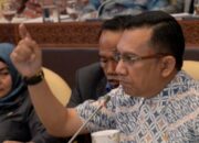 Ansy Lema Kritisi KKP terkait Pemangkasan Bantuan Konkret Rakyat