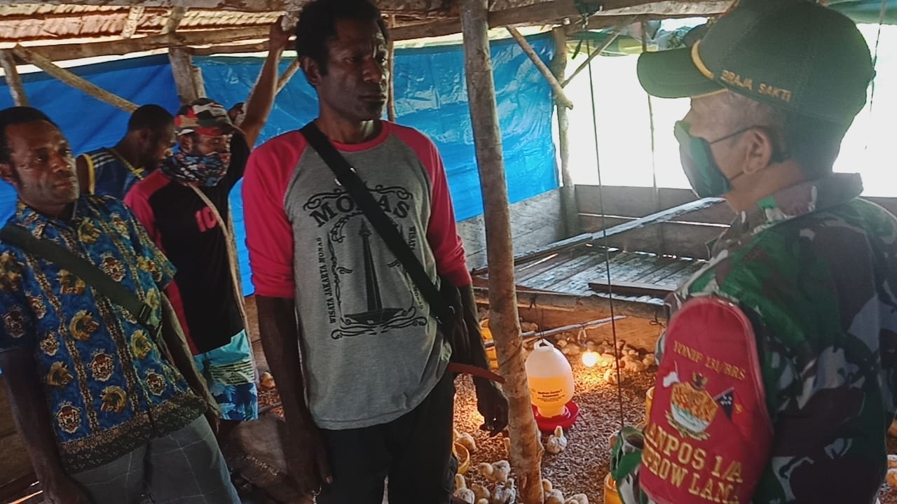 Satgas Pamtas Yonif 131/Brs Beri Penyuluhan Kepada Warga Tentang Berternak Ayam Potong di Papua