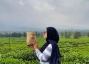 Tahu Lapis Lembang Digandrungi Kaula Muda