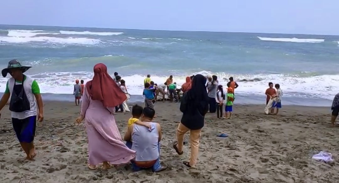 Ikan Hiu Terdampar di Pantai Sindangbarang Seberat 2 Ton