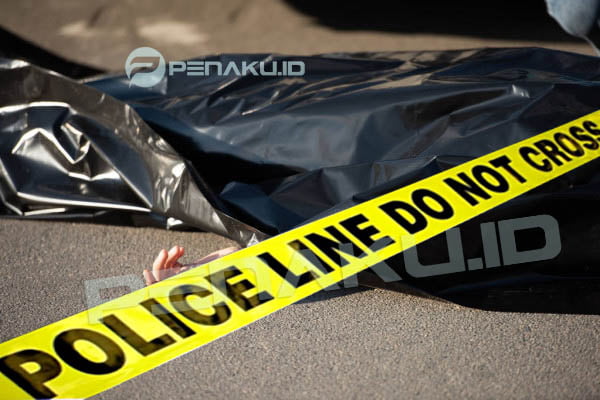 Pelaku Pembunuhan di Hotel Cilandak, Diciduk Polisi
