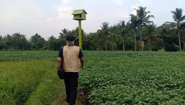 Kelompok Tani Anugrah Bangun Rubuha Tengah Sawah