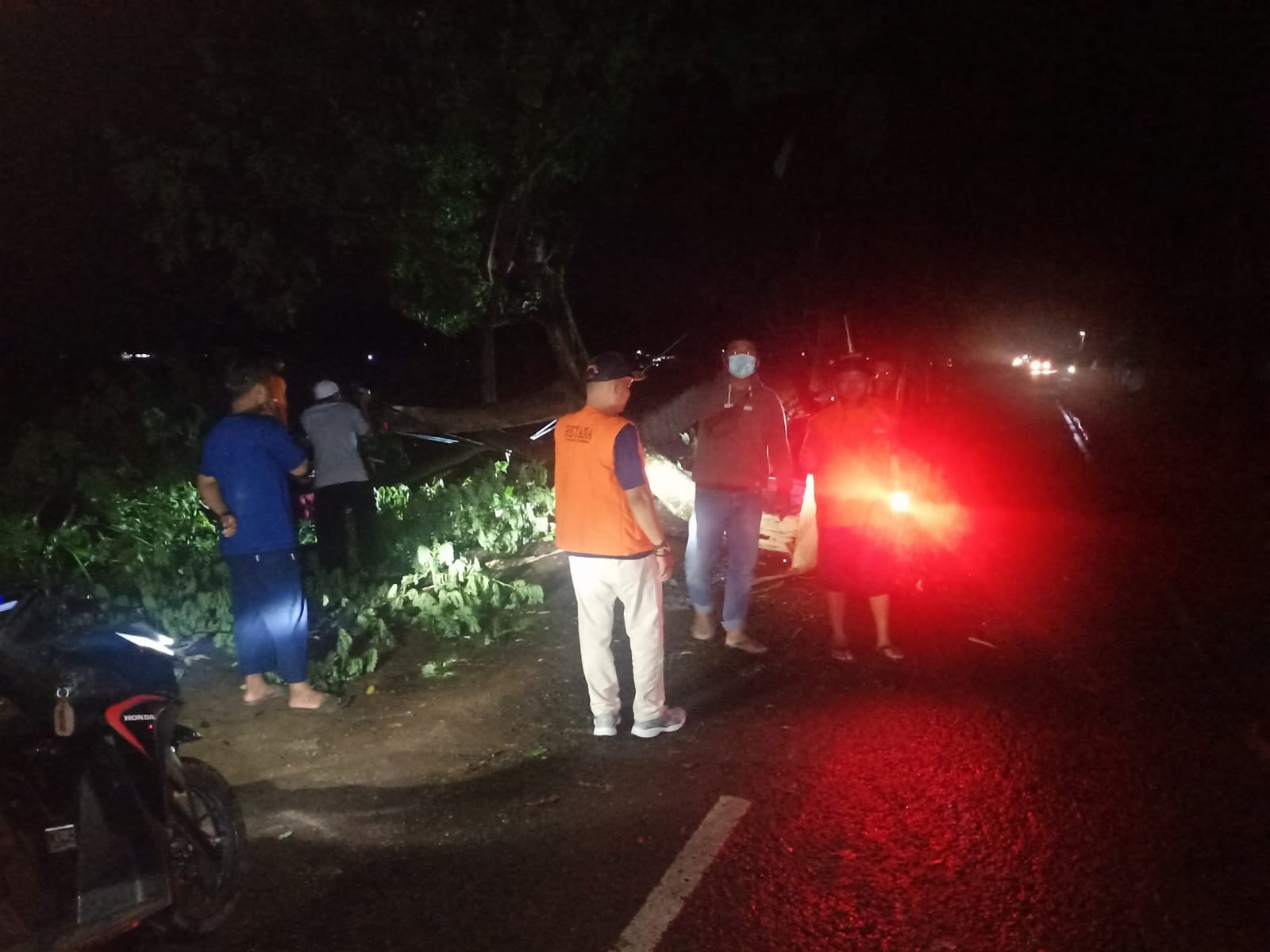 Pohon Tumbang di Kampung Pasirjunti Cianjur Timpa Jaringan Telepon