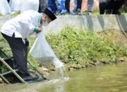 Sungai Surakatiga Kuningan Ditabur 100.000 Ikan