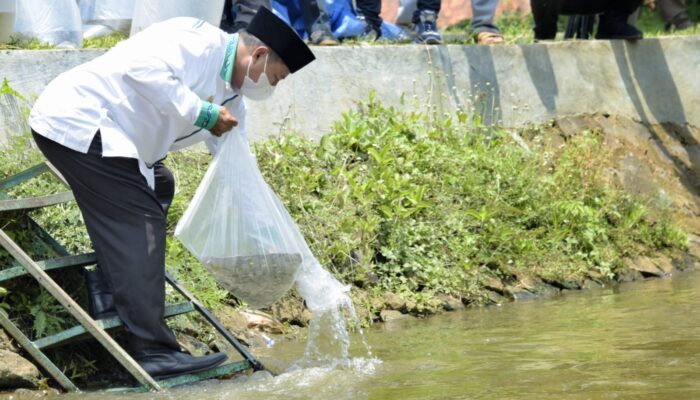 Sungai Surakatiga Kuningan Ditabur 100.000 Ikan