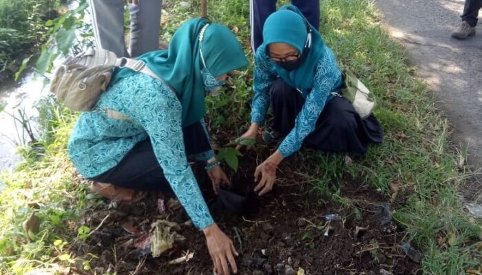 TP PKK Bojongpicung Cianjur Tanam Pohon Picung