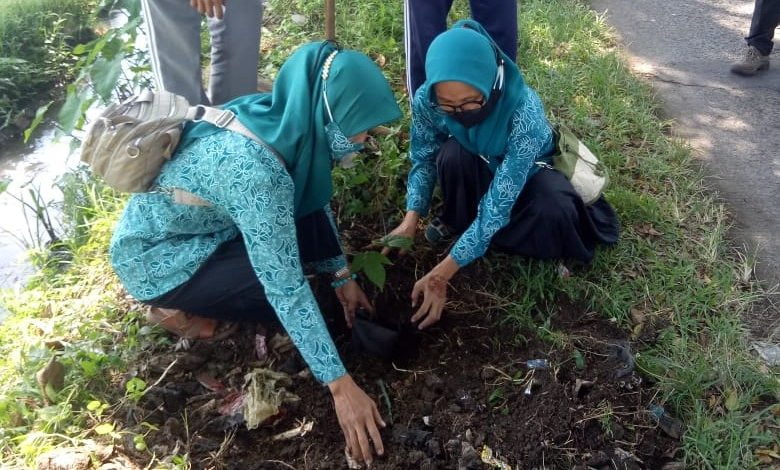 TP PKK Bojongpicung Cianjur Tanam Pohon Picung TP PKK Bojongpicung Cianjur Tanam Pohon Picung