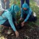 TP PKK Bojongpicung Cianjur Tanam Pohon Picung