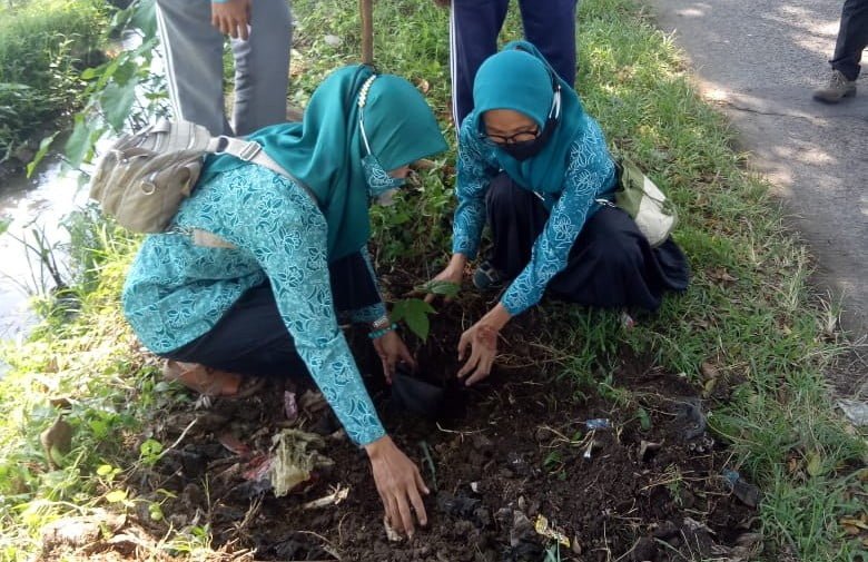 TP PKK Bojongpicung Cianjur Tanam Pohon Picung