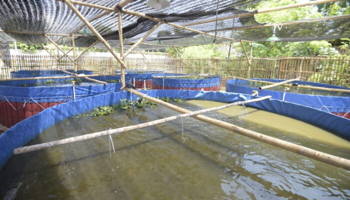 Uu Resmikan Bioflok Pesantren Ihya Ulumudin Cirebon
