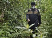 Jembatan Betman Solusi dari Jembatan Cirahong