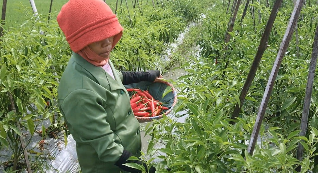 Laskar Merah Putih dan Warga Rawabebek