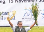 Panen Raya Petani Milenial Komoditas Padi di Jabar