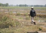 Usai Karantina 3 Hari, RK Langsung ke Kali Rasmi