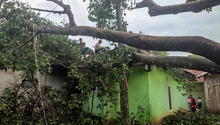 Rumah Warga di Karangtengah Cianjur Tertimpa Pohon