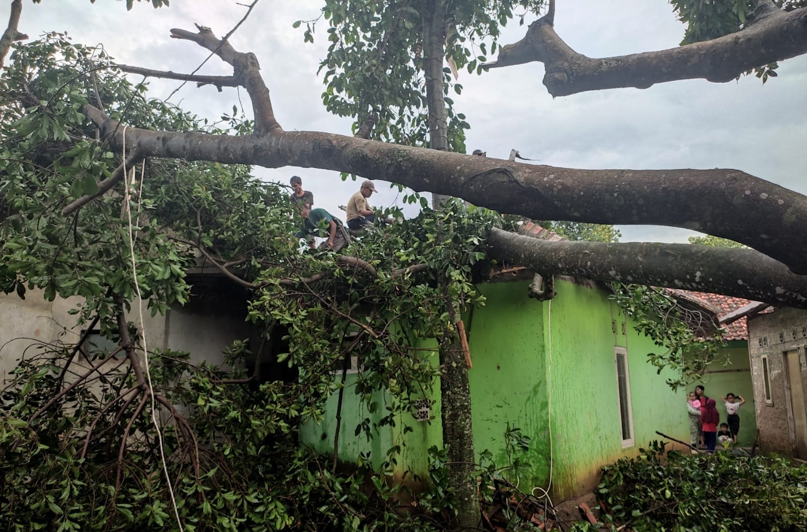 Rumah Warga di Karangtengah Cianjur Ambruk Tertimpa Pohon