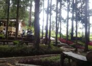 Saung Kopi Bah Dusyie Hadirkan Kopi Mantap 15K