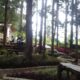 Saung Kopi Bah Dusyie Hadirkan Kopi Mantap 15K