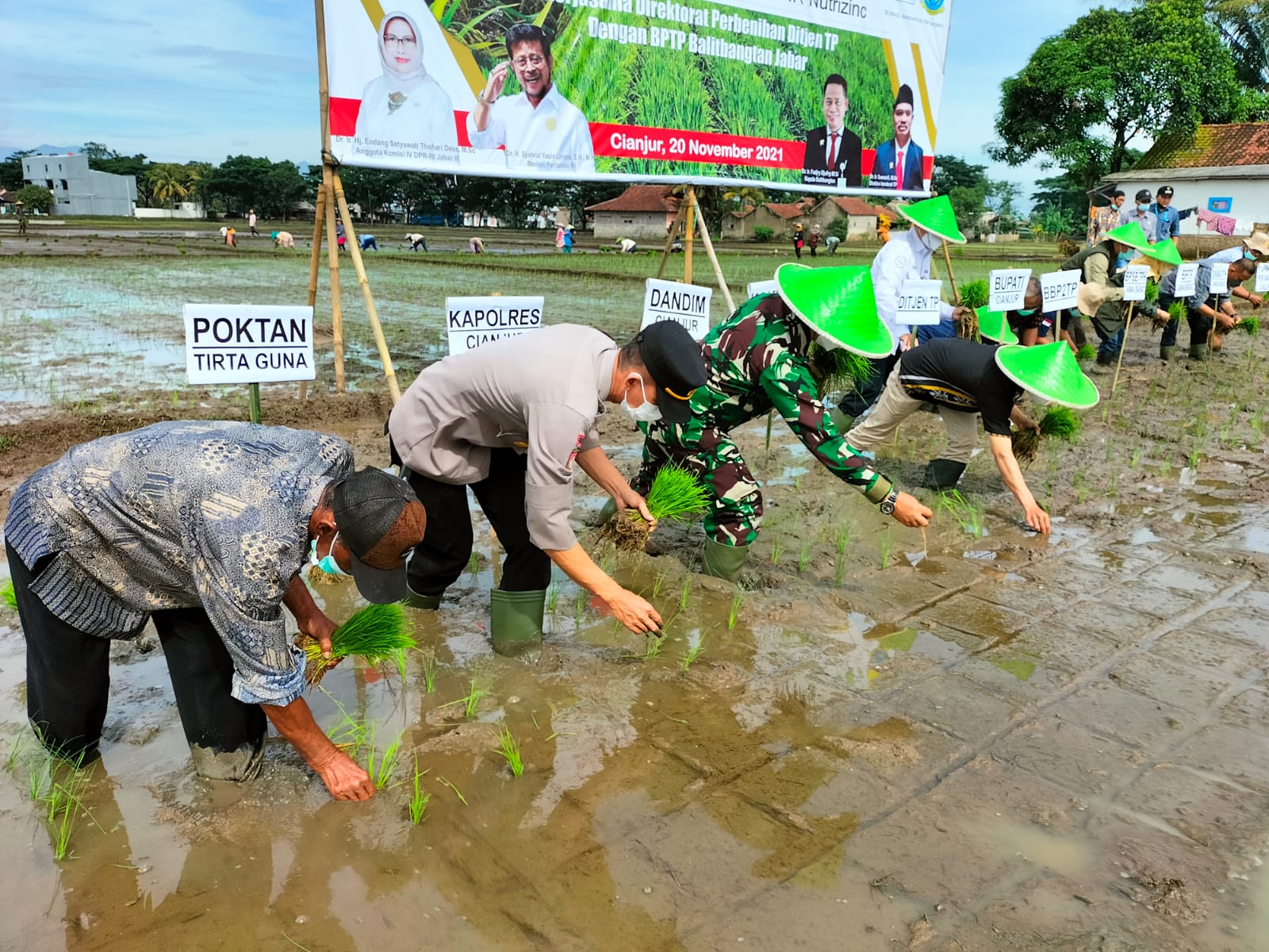 Tanam Perdana Inpari IR Nutrizinc