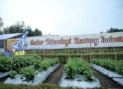 Uu Hadiri Gelar Teknologi Kentang Industri