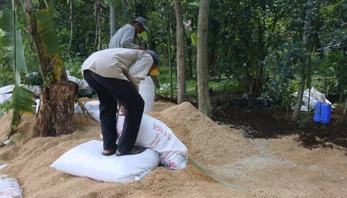 Warga Desa Kertajaya Cianjur Pusing dengan Kotoran Ayam