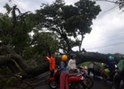 Hujan Angin Petir Tewaskan Petani dan Hancurkan Rumah Warga
